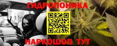 спайс Коммунар