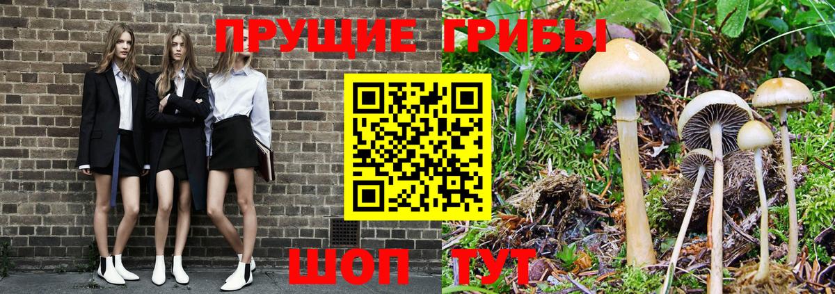 Галлюциногенные грибы Magic Shrooms  Вход с VPN  Шатура 