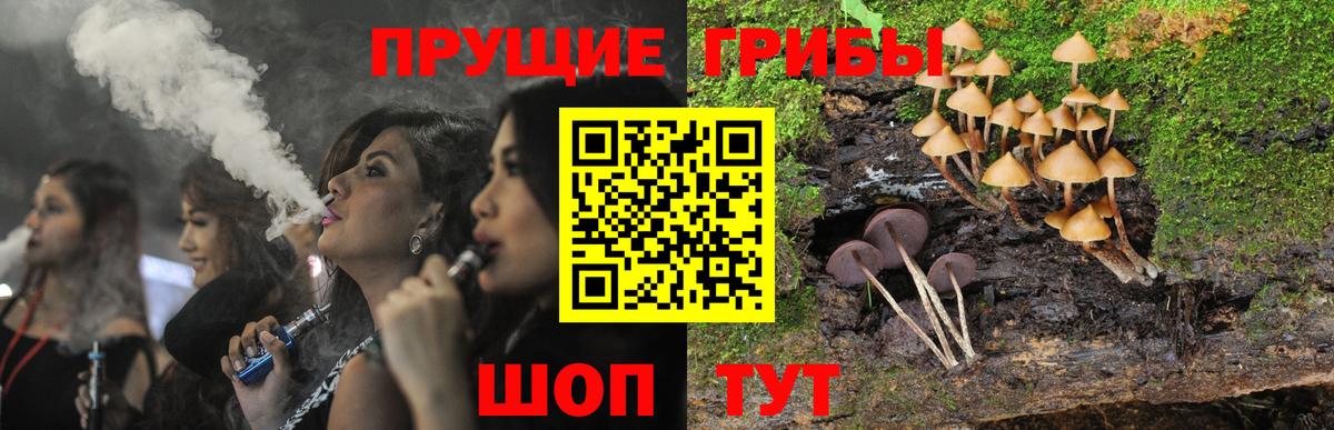 Псилоцибиновые грибы мицелий Шатура